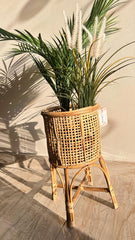 Rattan Stand Planter ( net)